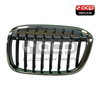 Grille Passenger Side Genuine Suits BMW X1 F48 2015 to 2021