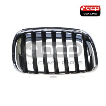 Grille Drivers Side Genuine Suits BMW X5 E70 2007 to 2013