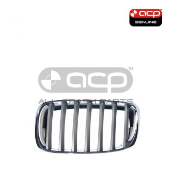 Grille Passenger Side Genuine Suits BMW X5 E70 2007 to 2013