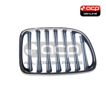 Grille Drivers Side Genuine Suits BMW X1 E84 2010 to 2015